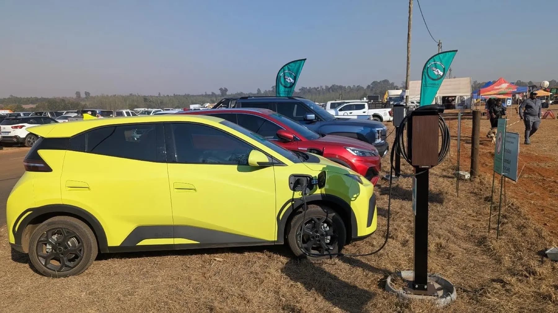 A yellow BYD Dolphin charges from a Conduit charger in a field